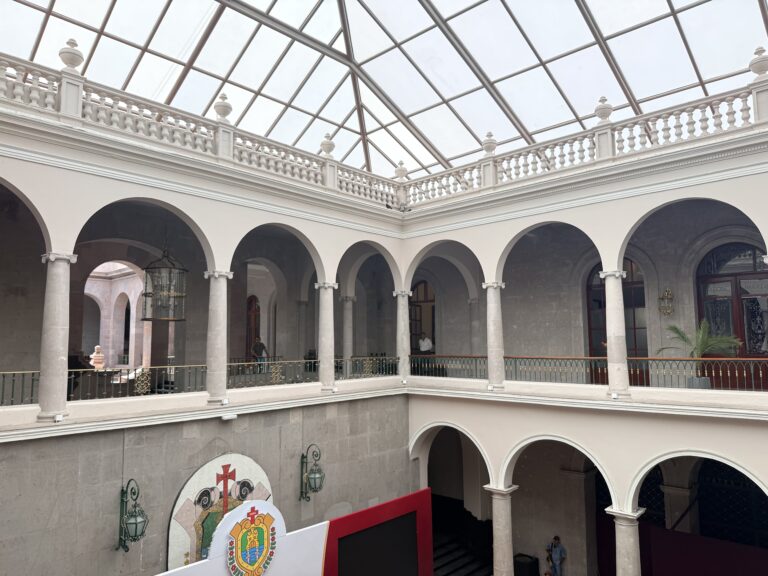 ¡Vaya manita de gato al palacio de Nahle!/Foto: Yerania Rolón
