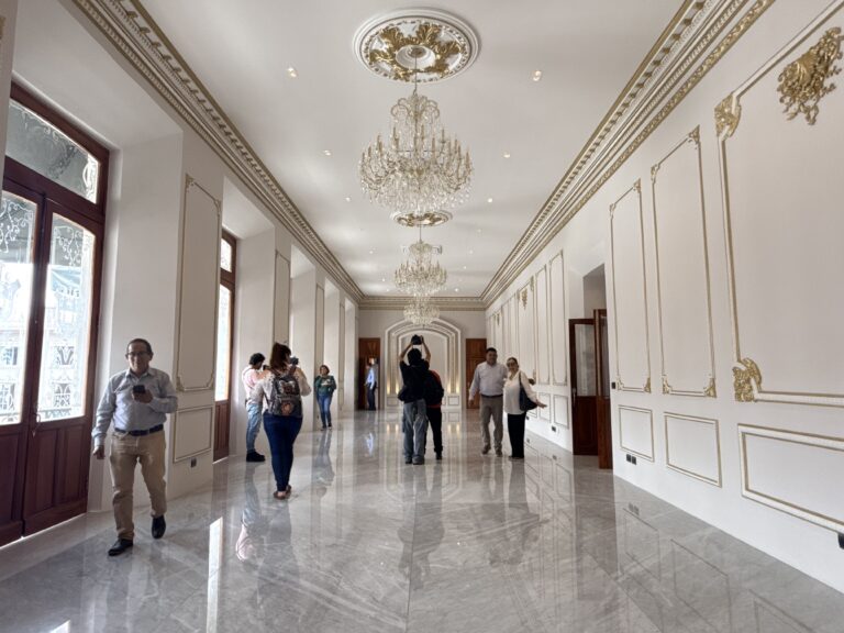 ¡Vaya manita de gato al palacio de Nahle!/Foto: Yerania Rolón