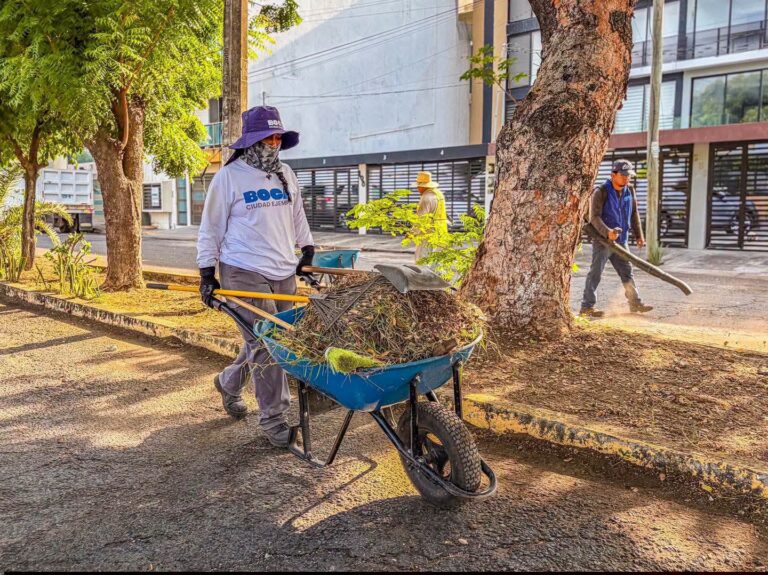 Área de Parques y Jardines realizó labores de mantenimiento en la avenida Galván