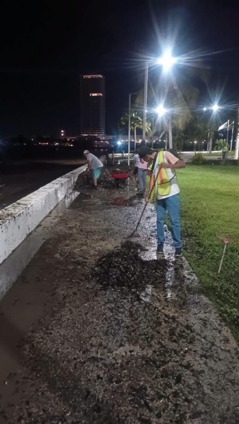 Labores de limpieza en la zona de Plaza Banderas y en las calles Zamora y Malpica