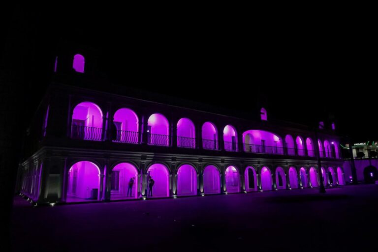 Maryose Gamboa Torales y la presidenta del Sistema DIF municipal, María Paula Hakin Gamboa, encabezaron el encendido del Palacio Municipal en color rosa