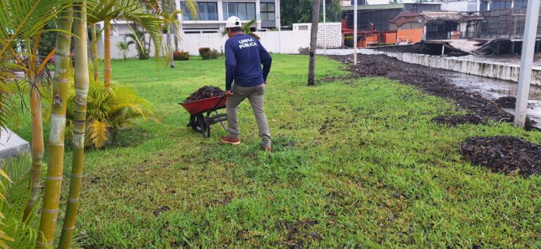 Trabajos de limpieza para retirar la palizada y otros objetos acumulados