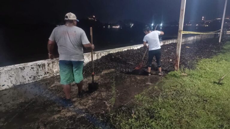 Labores de limpieza en la zona de Plaza Banderas y en las calles Zamora y Malpica